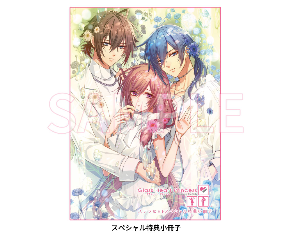 Glass Heart Princess for Nintendo Switch