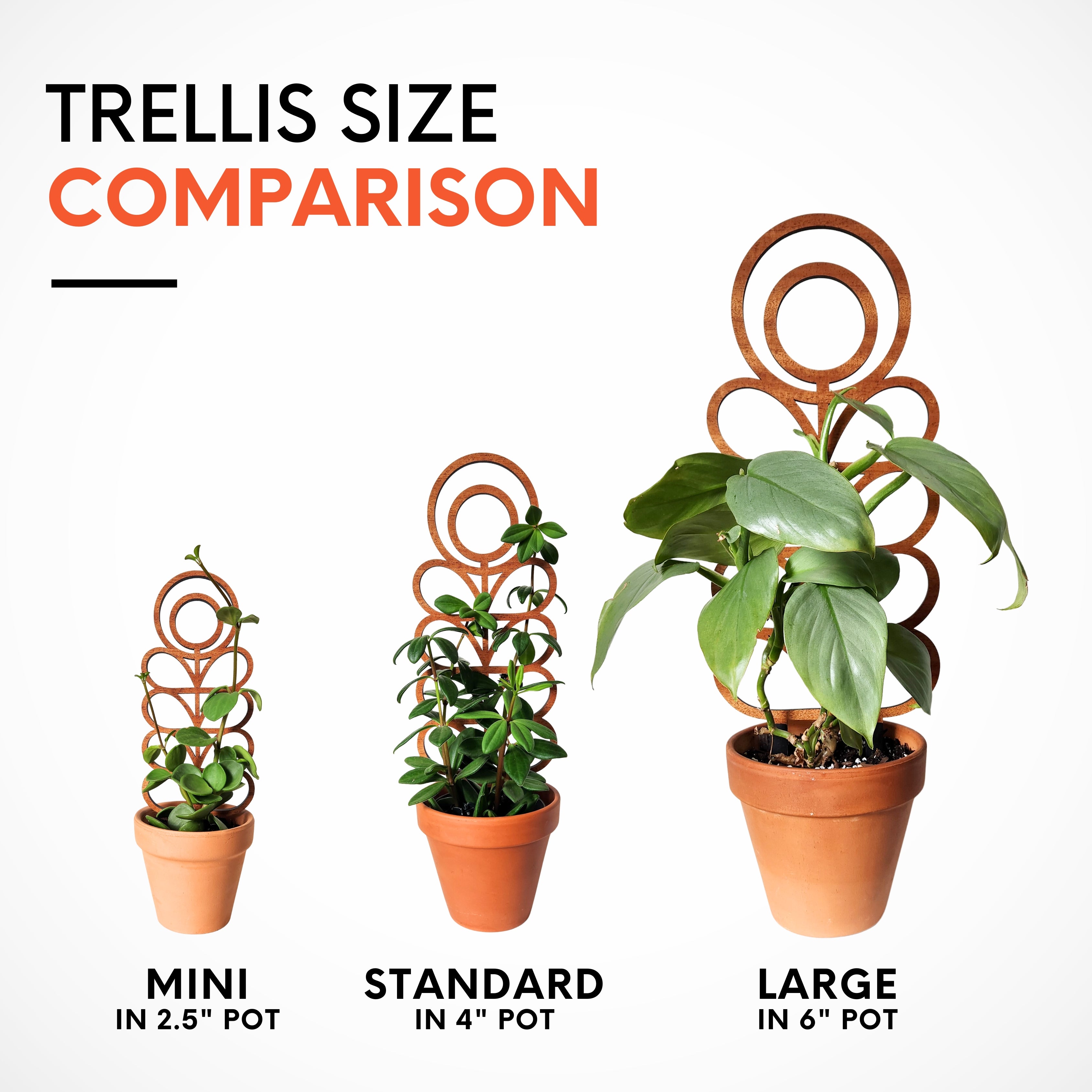 Indoor Plant Trellis – Mid Century Modern Design – Plant Décor