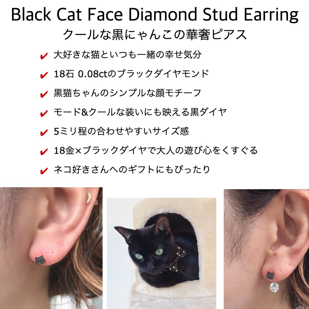 ピナコテーカ 743 黒猫 ブラック キャット フェイス パヴェ