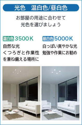 DAIKO 大光電機 ダウンライト(軒下兼用) DDL-6102WS | 商品紹介 | 照明