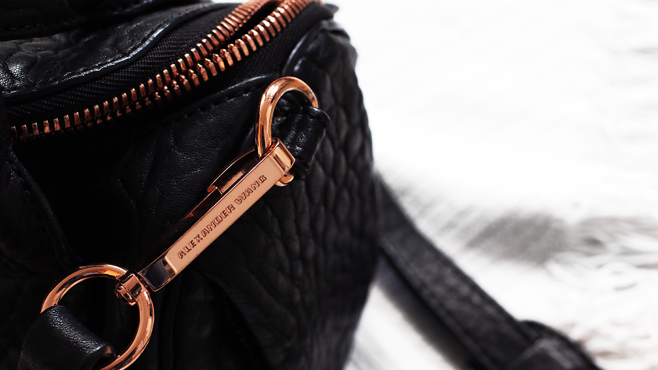 Alexander Wang Mini Rockie Designer Bag - LilyLike Blog