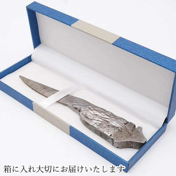 宇宙 ギャラクシー 星 鉄隕石 しんきょういんせき カマサイト