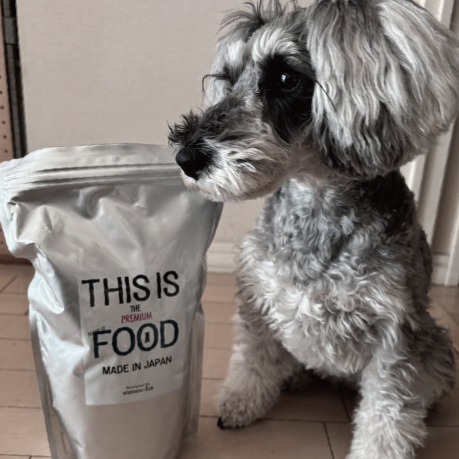 シュナウザー・テリア専門ドッグフード1kg袋初回お試し送料無料