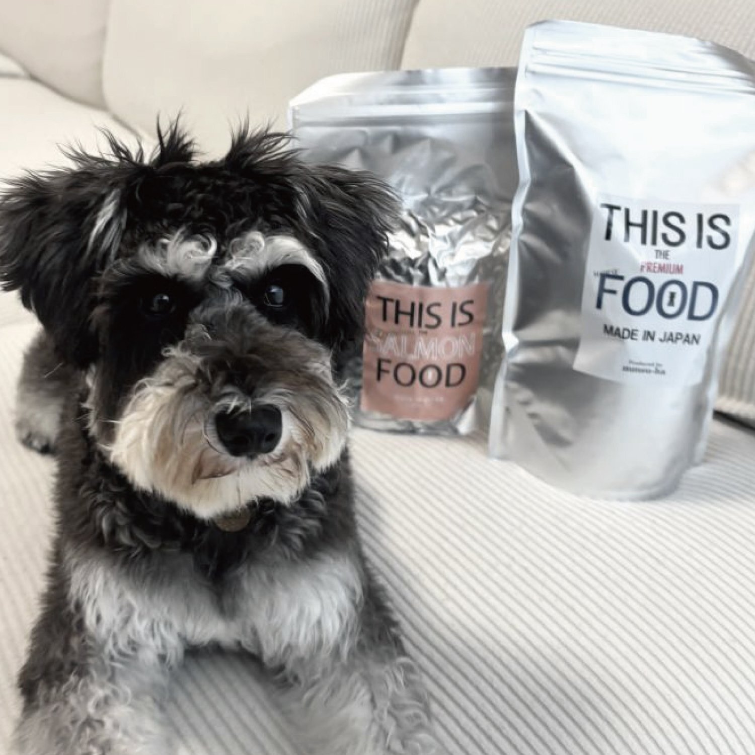 馬肉&サーモン】】シュナウザー・テリア専用ドッグフード1kg袋ずつ(2袋