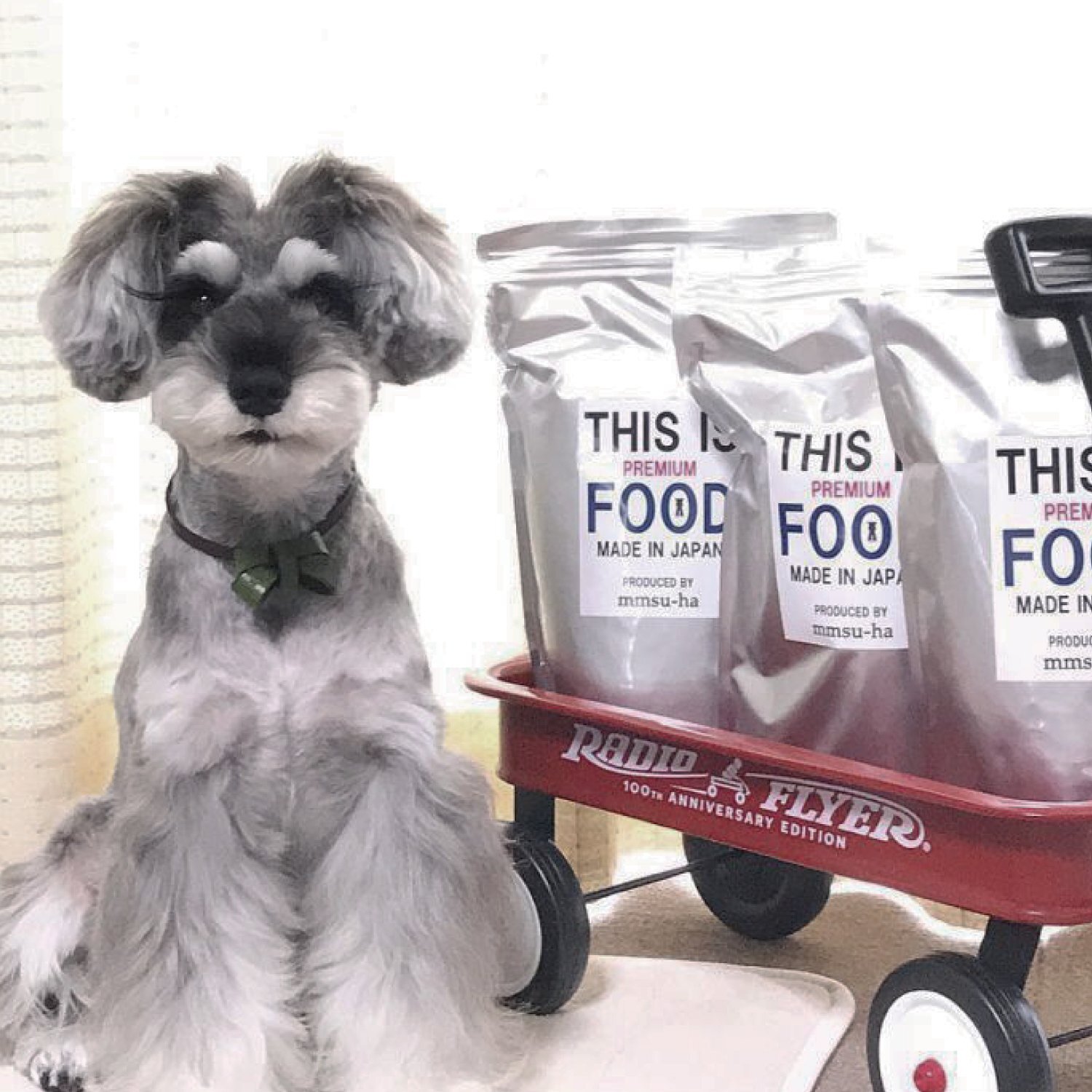 シュナウザー・テリア専用ドッグフード1kg袋×3袋まとめ買いセット