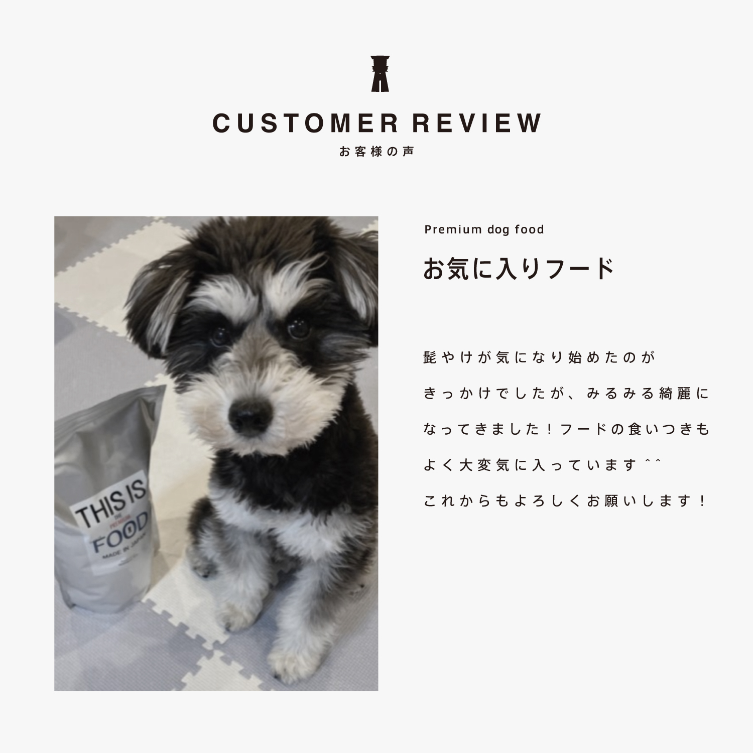 シュナウザー・テリア専用ドッグフード1kg袋×3袋まとめ買いセット