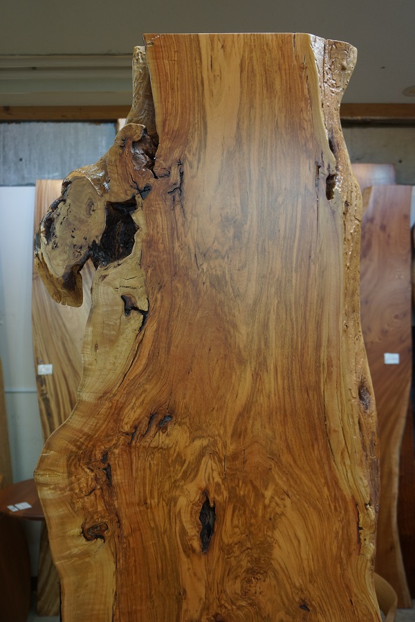 天然木 東京 新宿 東五軒町店展示 欅（けやき・ケヤキ）材 一枚板