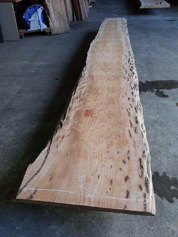 天然木 新潟工場 けやき材 一枚板 カウンター、テーブル用天板 セール