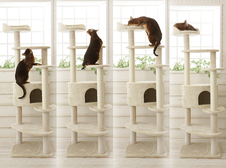 Mauタワー ミルキーエッグ 据え置き（中型・大型） キャットタワー専門