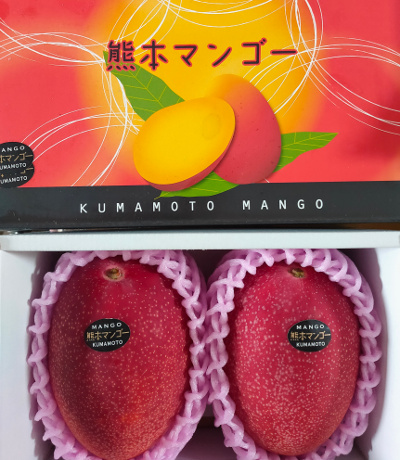 完熟マンゴー｜熊本産｜まぼろしの果実．COM