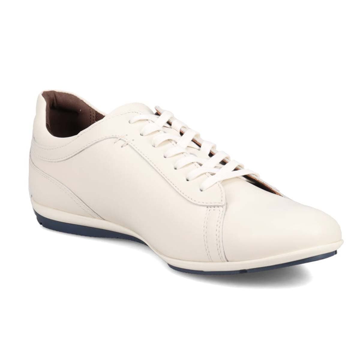 モデロ MODELLO カジュアルレザースニーカー DM6923(25 WHITE): メンズ