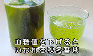 お茶の牧農園【公式サイト】お茶の通販・深蒸し茶を産地直送