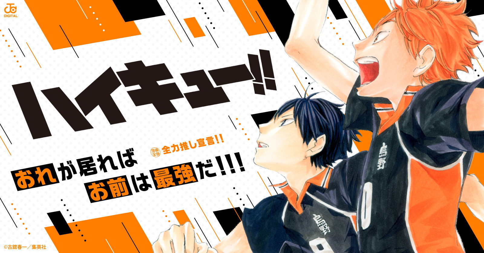 ハイキュー！！ 公式カラーイラスト集 ハイカラ！！ | 漫画全巻ドットコム