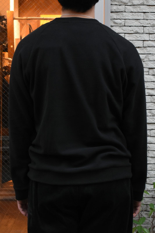 patagonia (パタゴニア) メンズ・マイクロ D・クルーネック [BLACK]