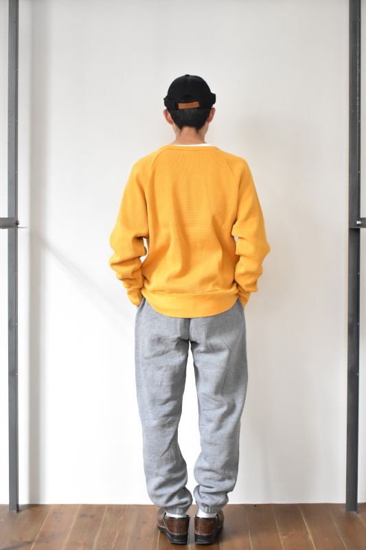 patagonia (パタゴニア) メンズ・フィッツロイ・アイコン・アップ