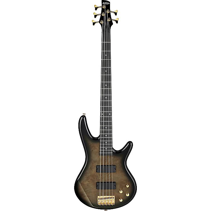 Ibanez(アイバニーズ) ／ GSR205PC-TPB (Transparent Pale Black Burst