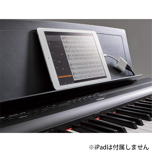 □ご予約受付□ 【専用スタンドセット】 YAMAHA(ヤマハ) ／ P-125B