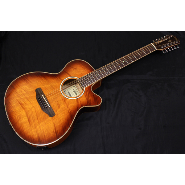 新品 Aria(アリア) ／ FET-DLX／12 LVS 12弦 エレアコ 多弦ギター の