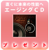 Bang ＆ Olufsen(バング＆オルフセン) ／ Form 2 (Black) - セミ