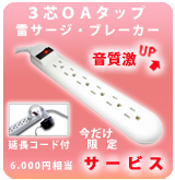 HARTKE(ハートキー) ／ A series A100 - ベースアンプ - 大特典セット