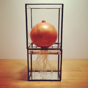 密買東京｜マッドな水耕栽培用容器｜商品詳細（Hydro - 1012|TERRA -）