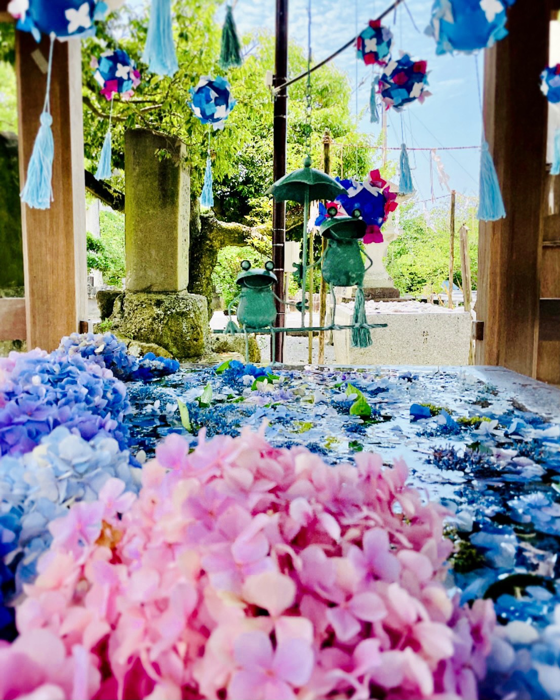 紫陽花の花手水 | 宮地嶽神社