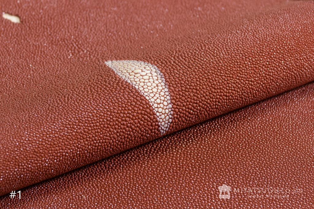 スティングレイ・銀付き（エイ革・9インチ）｜革販売ミヤツグ - 皮革