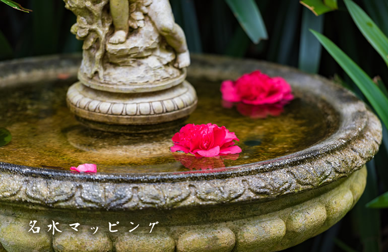 フジ医療器 アルカリイオン整水器 トレビ FW-407 / 水広場