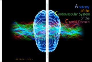 みづほ整骨院 荒川区
