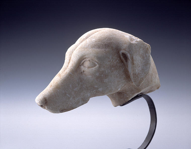 犬頭部 - MIHO MUSEUM