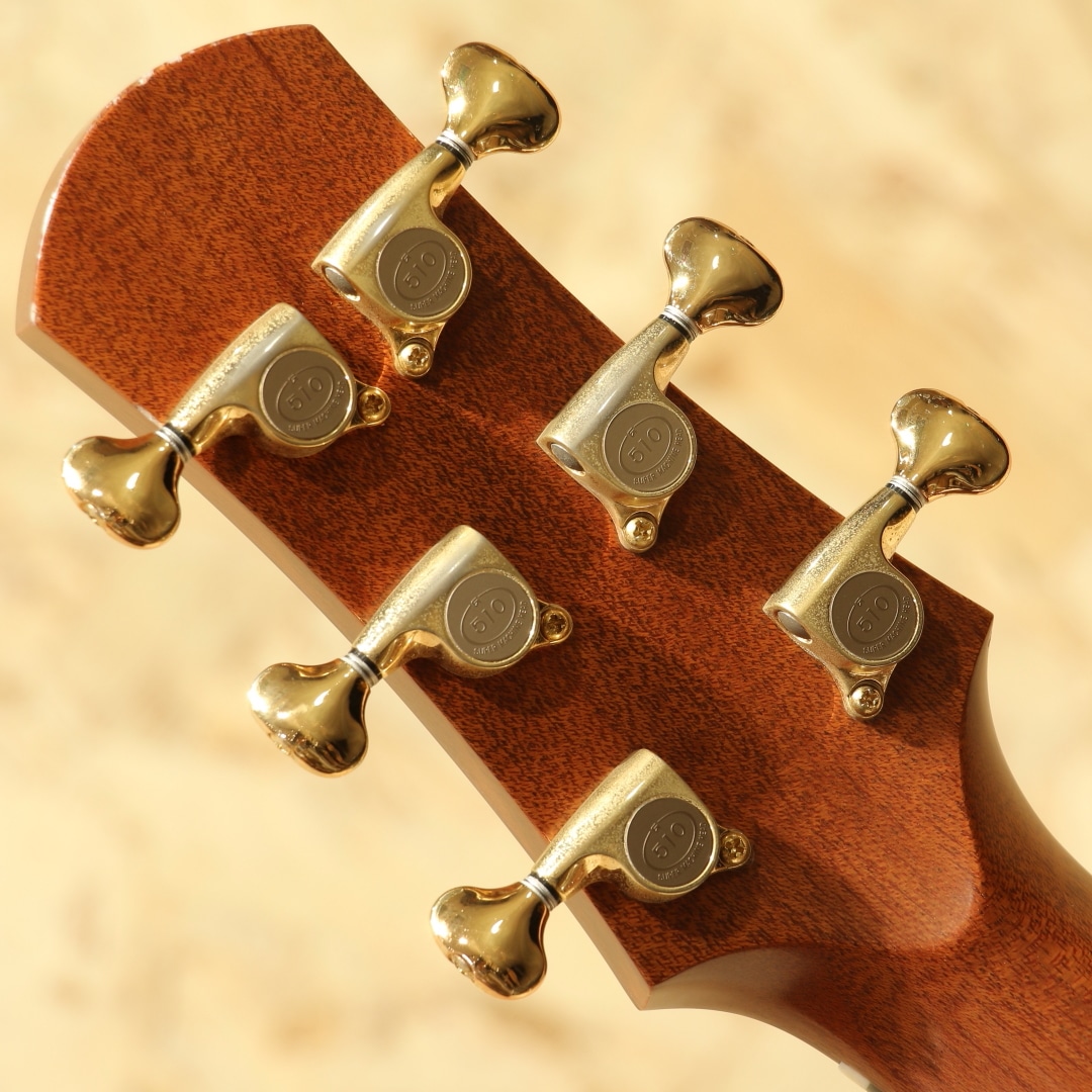 Grand Solo Premio CR 2021: アコースティックギター｜三木楽器公式