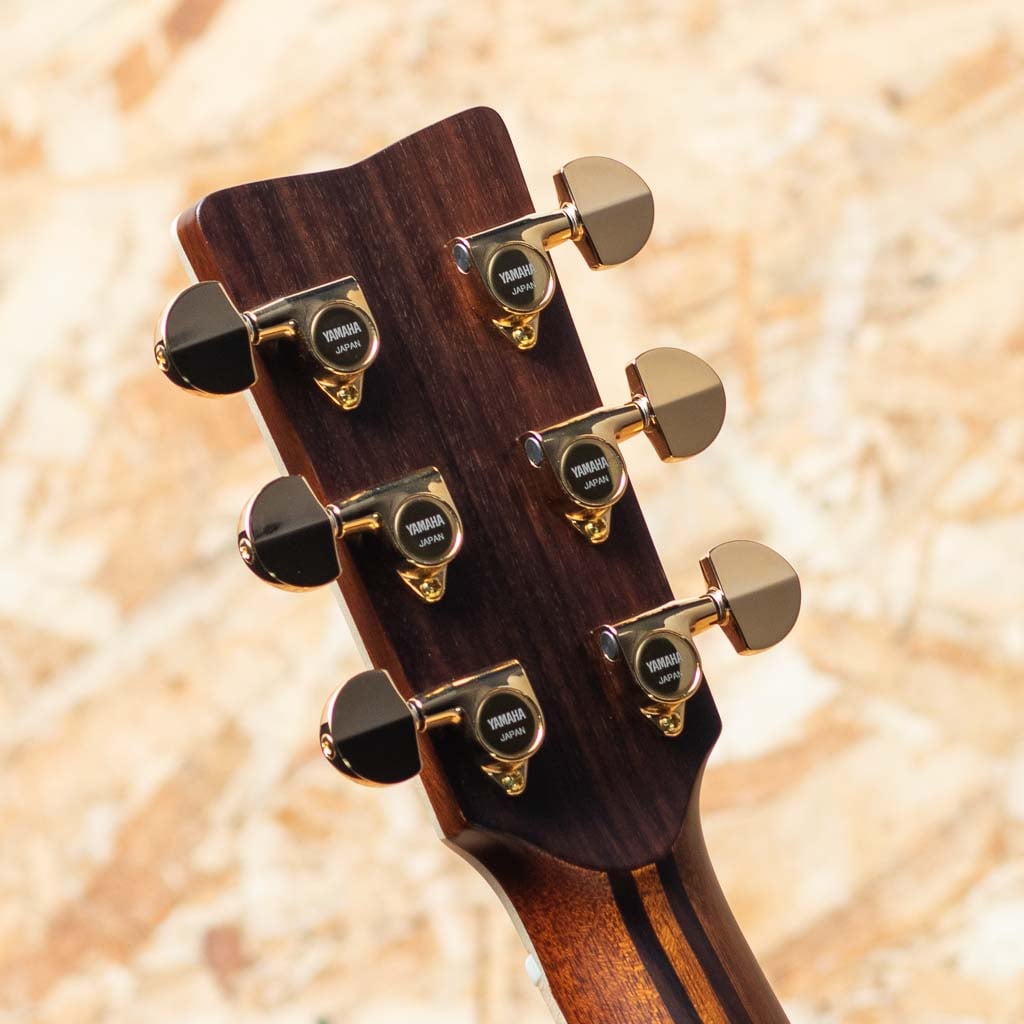 LL36 ARE: アコースティックギター｜三木楽器公式通販サイト