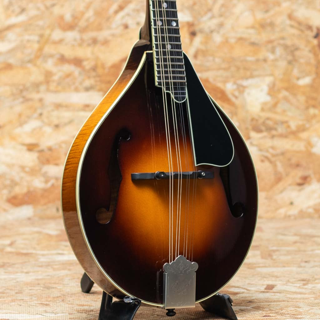 Flat Mandolin（フラットマンドリン）一覧 | | 三木楽器公式通販サイト