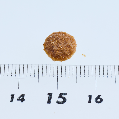 ニュートロ シュプレモ 成猫用 サーモン＆チキン 【送料無料