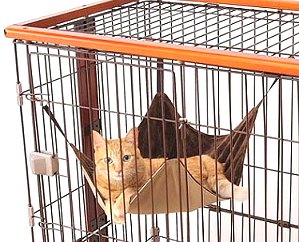 ボンビアルコン（Bonbi） ウッドワンサークルキャット 【送料無料