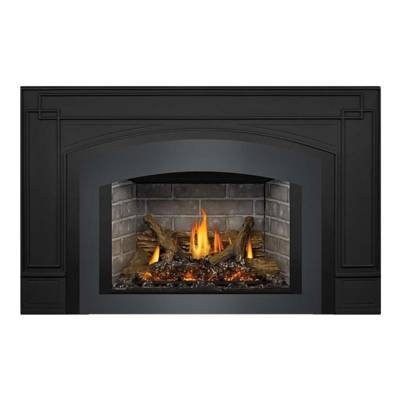 Napoleon Oakville X3 Direct Vent Gas Fireplace Insert GDIX3N-1