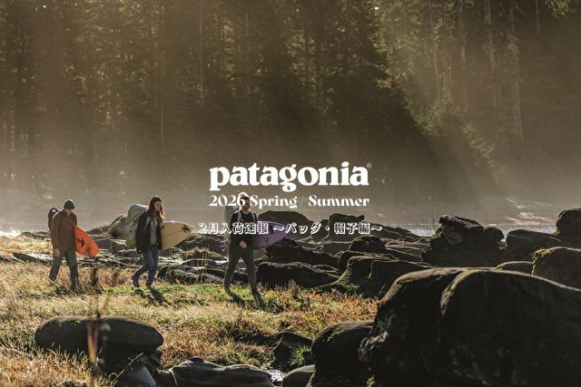 テイルウォーク(tail walk) ジグフォース SSD 15th アニバーサリー