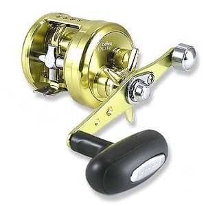 953_1.jpg?20050106130808