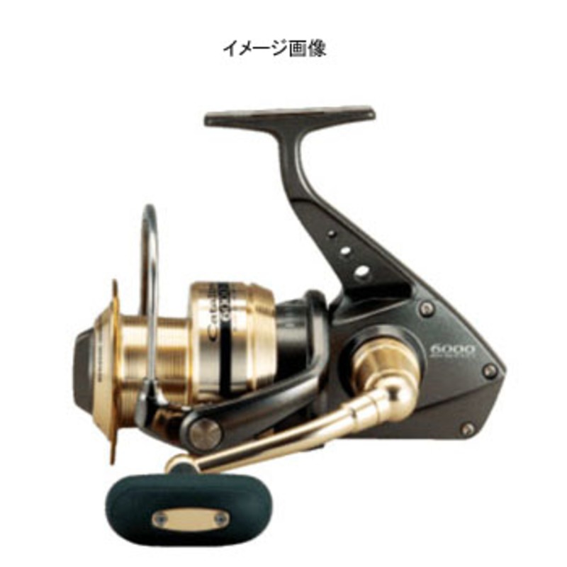 ダイワ(Daiwa) キャタリナ6500 00058312｜アウトドア用品・釣り具通販