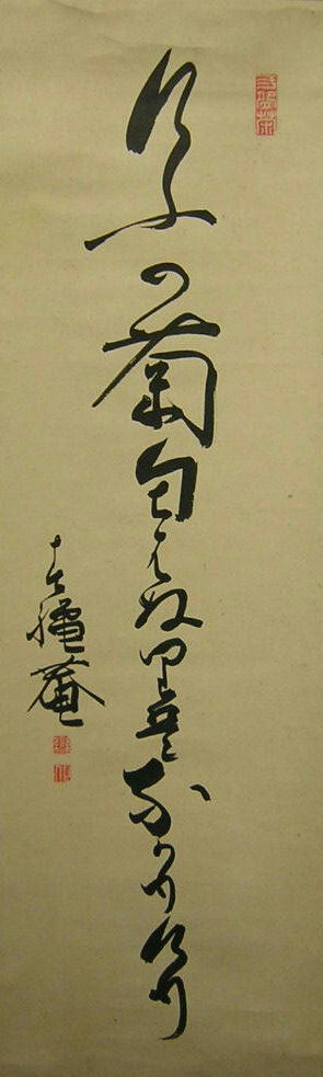 獅子門美濃派俳句資料館 高木巒化 「けふの菊～」/掛け軸(Hanging