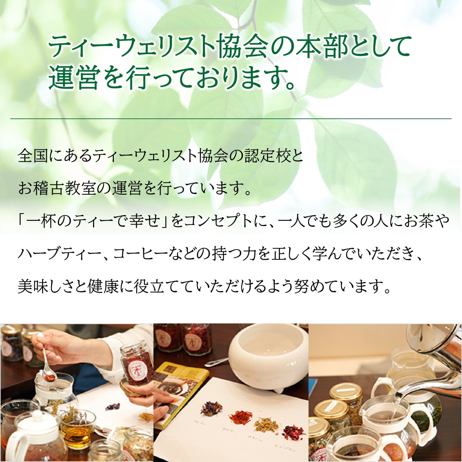 在庫限り終売】スパイス香る有機ルイボスチャイ(ティーバッグ35個)