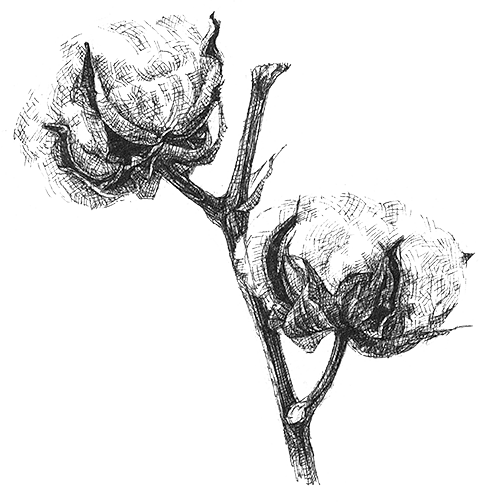 W-028 / ARCHIVE / NAHYAT