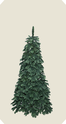 クリスマスを応援する会社 Nakajo's Christmas（中城産業株式会社