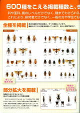 日本産直翅類標準図鑑