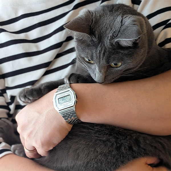 CASIO カシオ クラシック プレミアムシリーズ A1000A-7JF チックタック