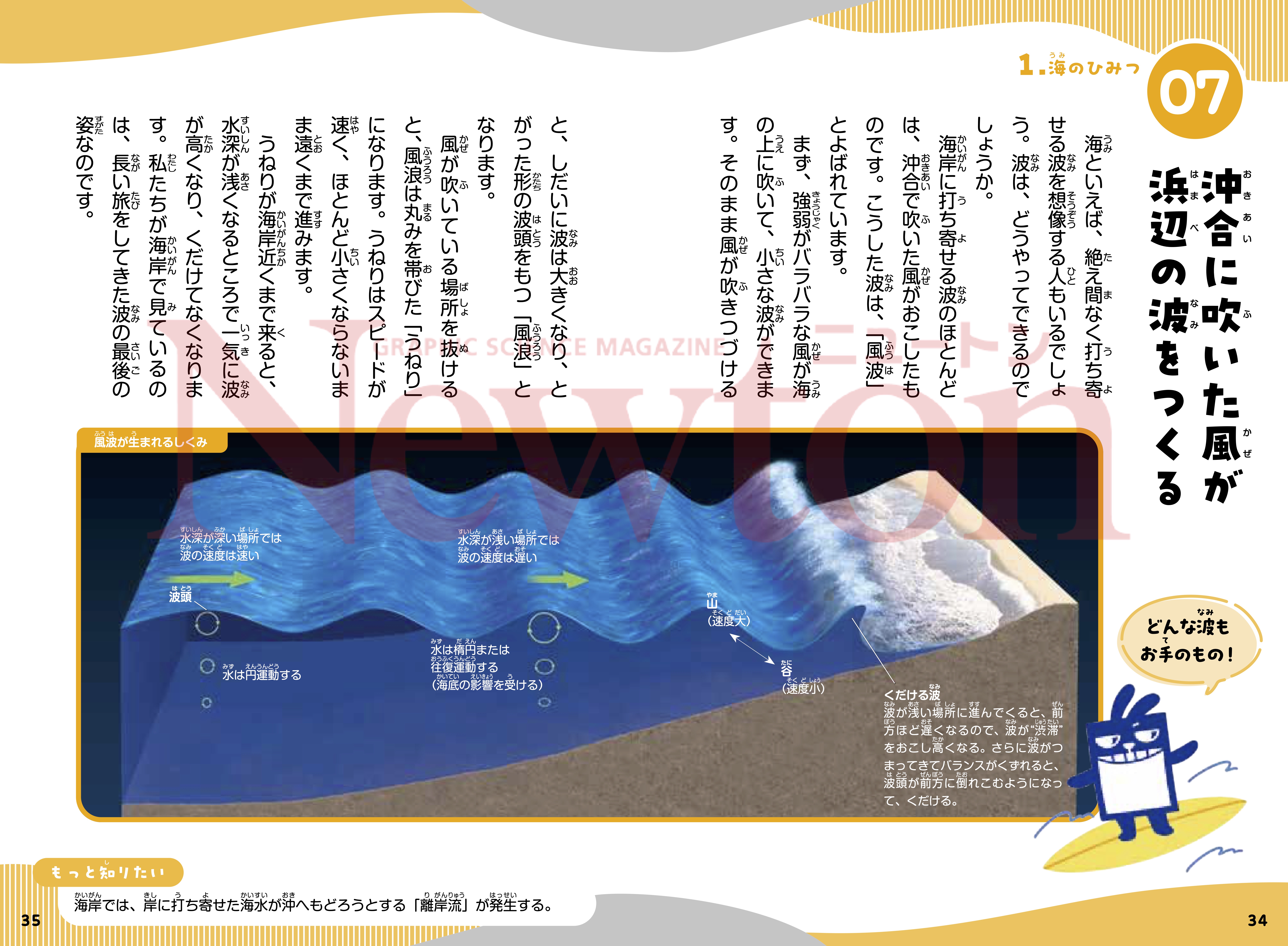 ニュートン科学の学校シリーズ 海の学校 | ニュートンプレス