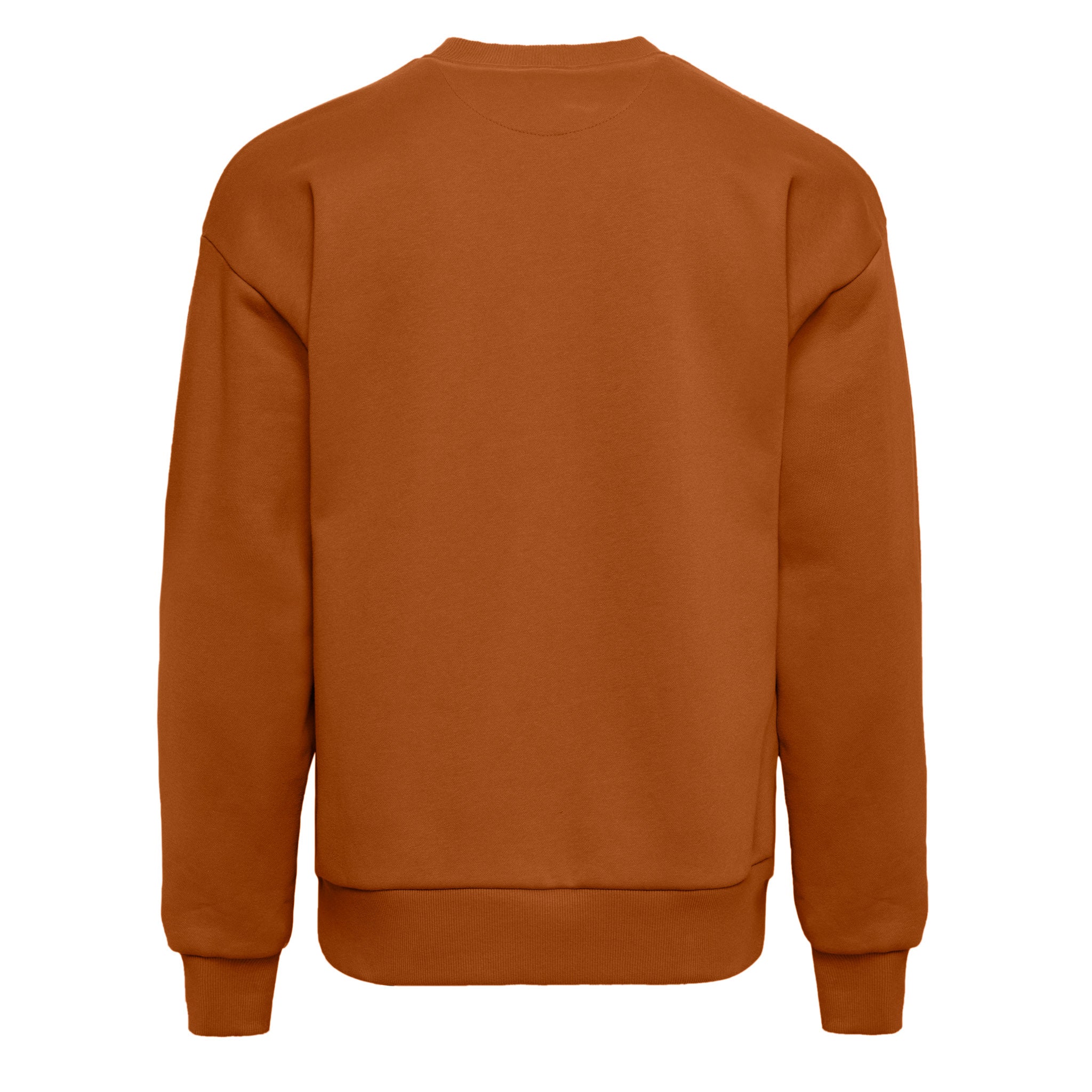 Unisex Heavyweight Sweatshirt - Clay | 9007 | Next Level Apparel