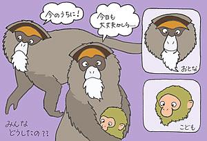 静岡市立 日本平動物園｜でっきぶらし（News Paper）