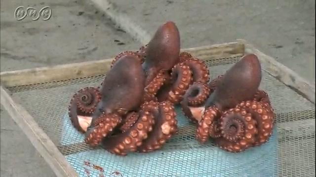 イギリス 20ポンド札のエルガーとウースター大聖堂｜地域｜NHK