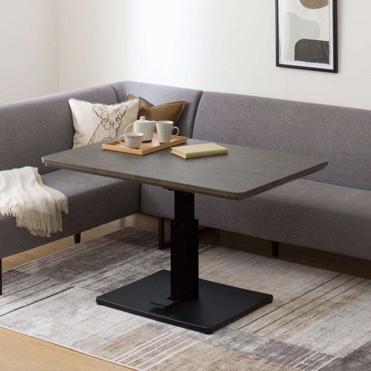 219080000042801.jpg?ts=